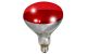 Little Giant 170024 Red Heat Lamp Bulb for Brooder Lamp