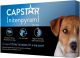 Capstar Tablets for Dogs 2 to 25 Pounds, Blue Label (6 Dose)
