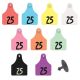Allflex Global Large Female Ear Tags with Buttons