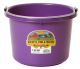 Little Giant 8 Quart Plastic Bucket Purple