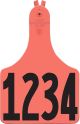 Allflex ATag Numbered One-Piece Ear Tags Cow, Red - 76 - 100 (25 Count)