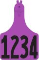 Allflex ATag Numbered One-Piece Ear Tags Cow, Purple - 76 - 100