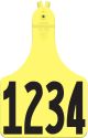 Allflex ATag Numbered One-Piece Ear Tags Cow, Yellow - 101 - 125