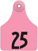 Allflex Global Large Female Ear Tags with Buttons-Pink-51 - 75