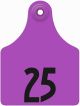 Allflex Global Numbered Maxi Female Ear Tag with Buttons Purple-151 - 175