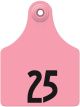 Allflex Global Numbered Maxi Female Ear Tag with Buttons (25 ct)-Pink-26 - 50