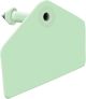 Allflex Global Blank Hog Male Ear Tag with Blank Female Button - Green (25 ct)