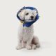 KVP Calmer Extended-Use Comfort Collar, 6