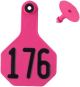 Y-Tex All American 3 Star Combo Medium Ear Tag, Numbered (25 Count)-Pink-76 - 100