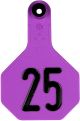 Y-Tex All American 3 Star Combo Medium Ear Tag, Numbered (25 Count)-Purple-26 - 50